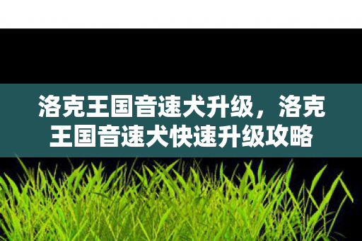 洛克王国音速犬升级，洛克王国音速犬快速升级攻略