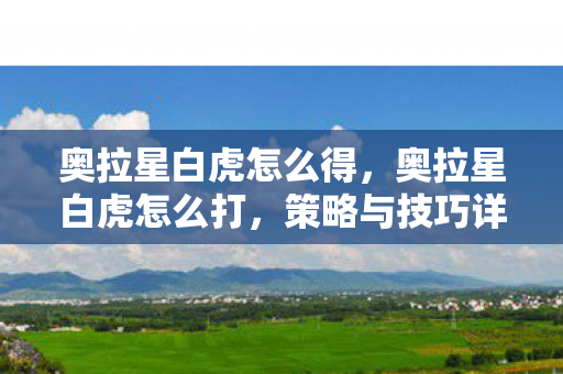 奥拉星白虎怎么得，奥拉星白虎怎么打，策略与技巧详解