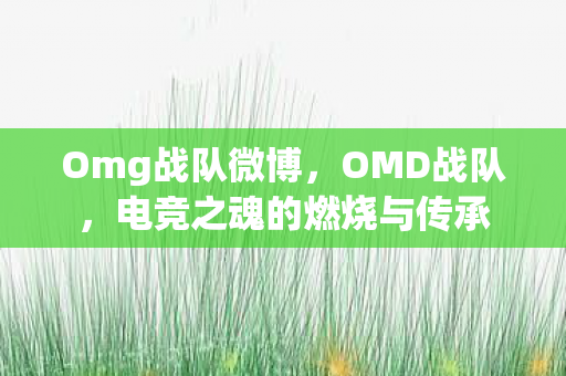 Omg战队微博,OMD战队,电竞之魂的燃烧与传承 Omg战队微博,OMD战队,电竞之魂的燃烧与传承