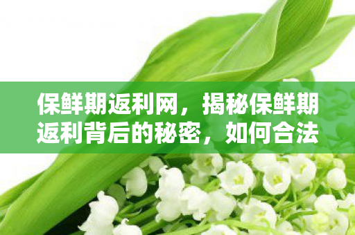 保鲜期返利网,揭秘保鲜期返利背后的秘密,如何合法获取高额返利? 保鲜期返利网,揭秘保鲜期返利背后的秘密,如何合法获取高额返利?
