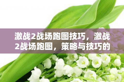 激战2战场跑图技巧,激战2战场跑图,策略与技巧的深度解析 激战2战场跑图技巧,激战2战场跑图,策略与技巧的深度解析