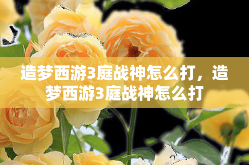 造梦西游3庭战神怎么打,造梦西游3庭战神怎么打 造梦西游3庭战神怎么打,造梦西游3庭战神怎么打