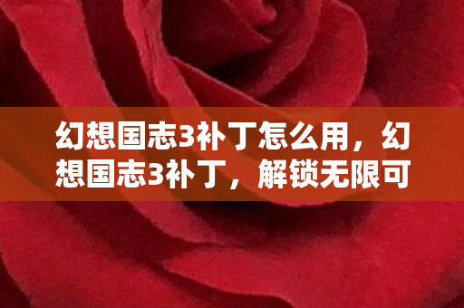 幻想国志3补丁怎么用,幻想国志3补丁,解锁无限可能的冒险之旅 幻想国志3补丁怎么用,幻想国志3补丁,解锁无限可能的冒险之旅
