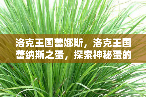 洛克王国蕾娜斯,洛克王国蕾纳斯之蛋,探索神秘蛋的奇幻之旅 洛克王国蕾娜斯,洛克王国蕾纳斯之蛋,探索神秘蛋的奇幻之旅
