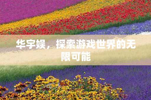 华宇娱,探索游戏世界的无限可能 华宇娱,探索游戏世界的无限可能