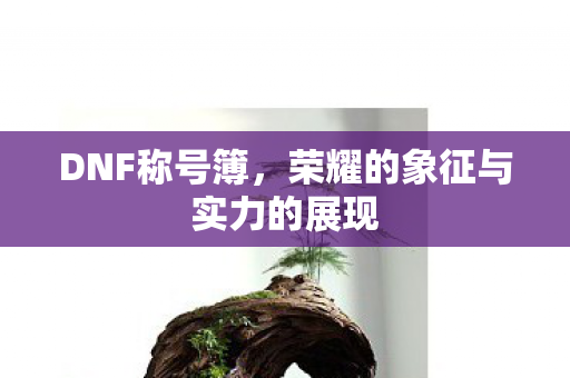DNF称号簿,荣耀的象征与实力的展现 DNF称号簿,荣耀的象征与实力的展现