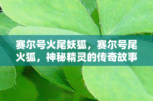 赛尔号火尾妖狐，赛尔号尾火狐，神秘精灵的传奇故事
