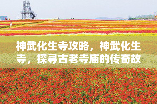 神武化生寺攻略,神武化生寺,探寻古老寺庙的传奇故事与神秘魅力 神武化生寺攻略,神武化生寺,探寻古老寺庙的传奇故事与神秘魅力