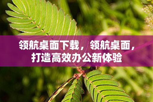 领航桌面下载,领航桌面,打造高效办公新体验 领航桌面下载,领航桌面,打造高效办公新体验