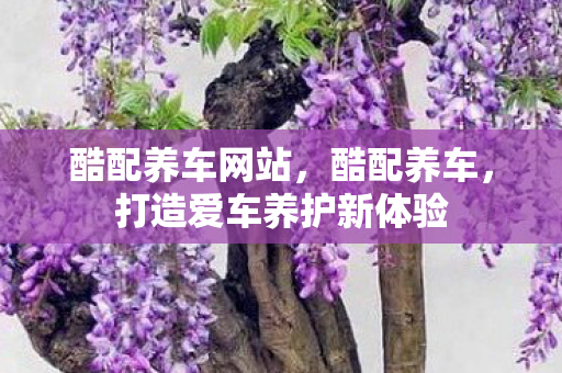 酷配养车网站,酷配养车,打造爱车养护新体验 酷配养车网站,酷配养车,打造爱车养护新体验