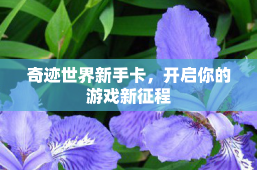 奇迹世界新手卡，开启你的游戏新征程