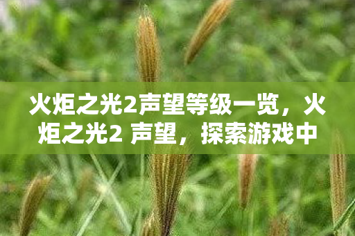 火炬之光2声望等级一览,火炬之光2 声望,探索游戏中的荣耀与成就 火炬之光2声望等级一览,火炬之光2 声望,探索游戏中的荣耀与成就