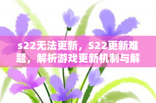 s22无法更新，S22更新难题，解析游戏更新机制与解决方案