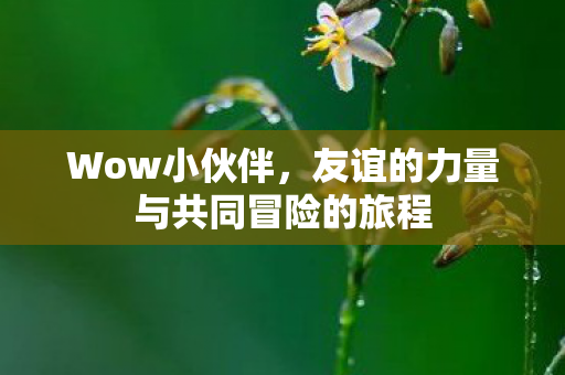 Wow小伙伴，友谊的力量与共同冒险的旅程