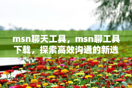 msn聊天工具，msn聊工具下载，探索高效沟通的新选择