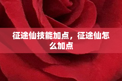 征途仙技能加点，征途仙怎么加点