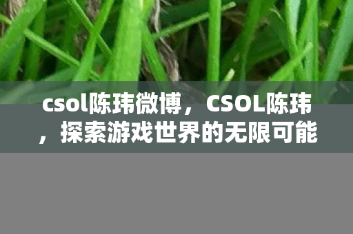 csol陈玮微博,CSOL陈玮,探索游戏世界的无限可能 csol陈玮微博,CSOL陈玮,探索游戏世界的无限可能