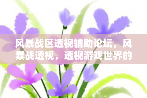 风暴战区透视辅助论坛,风暴战透视,透视游戏世界的深层奥秘 风暴战区透视辅助论坛,风暴战透视,透视游戏世界的深层奥秘