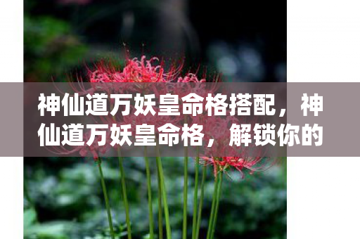 神仙道万妖皇命格搭配，神仙道万妖皇命格，解锁你的传奇之路