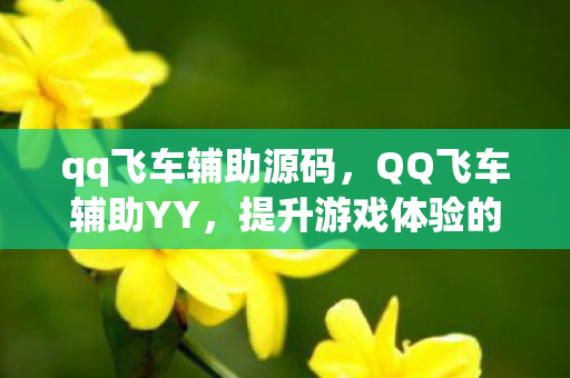 qq飞车辅助源码,QQ飞车辅助YY,提升游戏体验的合法工具 qq飞车辅助源码,QQ飞车辅助YY,提升游戏体验的合法工具