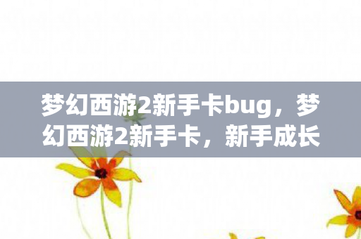 梦幻西游2新手卡bug，梦幻西游2新手卡，新手成长路上的贴心助手