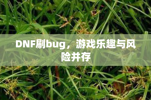 DNF刷bug,游戏乐趣与风险并存 DNF刷bug,游戏乐趣与风险并存