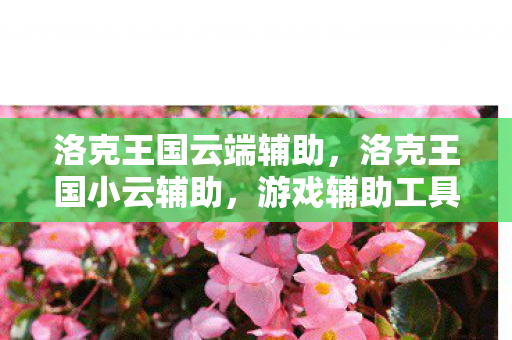 洛克王国云端辅助,洛克王国小云辅助,游戏辅助工具的优势与合理使用 洛克王国云端辅助,洛克王国小云辅助,游戏辅助工具的优势与合理使用