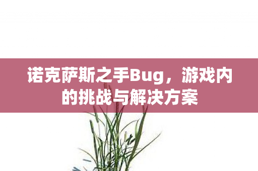 诺克萨斯之手Bug,游戏内的挑战与解决方案 诺克萨斯之手Bug,游戏内的挑战与解决方案