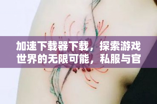加速下载器下载,探索游戏世界的无限可能,私服与官方服务器的独特魅力对比 加速下载器下载,探索游戏世界的无限可能,私服与官方服务器的独特魅力对比