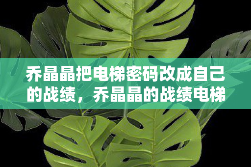 乔晶晶把电梯密码改成自己的战绩,乔晶晶的战绩电梯密码,荣耀与梦想的交织 乔晶晶把电梯密码改成自己的战绩,乔晶晶的战绩电梯密码,荣耀与梦想的交织