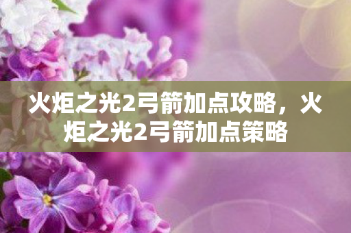 火炬之光2弓箭加点攻略，火炬之光2弓箭加点策略