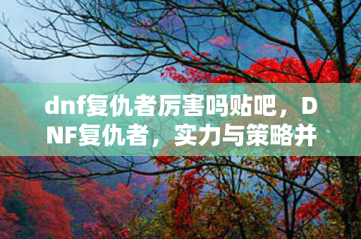 dnf复仇者厉害吗贴吧,DNF复仇者,实力与策略并重的战斗大师 dnf复仇者厉害吗贴吧,DNF复仇者,实力与策略并重的战斗大师