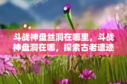 斗战神盘丝洞在哪里,斗战神盘洞在哪,探索古老遗迹的神秘之旅 斗战神盘丝洞在哪里,斗战神盘洞在哪,探索古老遗迹的神秘之旅