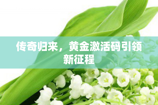 传奇归来,黄金激活码引领新征程 传奇归来,黄金激活码引领新征程