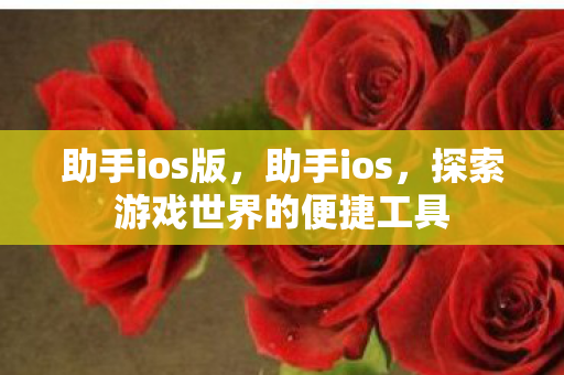 助手ios版，助手ios，探索游戏世界的便捷工具
