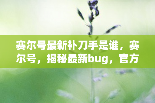赛尔号最新补刀手是谁，赛尔号，揭秘最新bug，官方紧急修复中