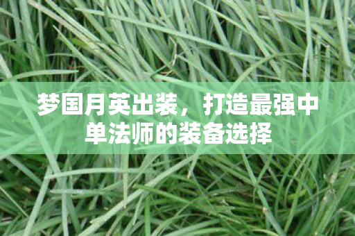 梦国月英出装，打造最强中单法师的装备选择