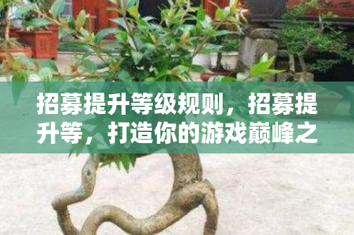 招募提升等级规则，招募提升等，打造你的游戏巅峰之旅