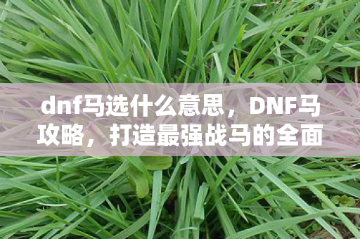 dnf马选什么意思,DNF马攻略,打造最强战马的全面指南 dnf马选什么意思,DNF马攻略,打造最强战马的全面指南