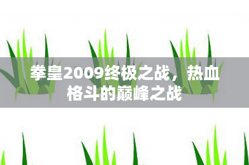 拳皇2009终极之战,热血格斗的巅峰之战 拳皇2009终极之战,热血格斗的巅峰之战