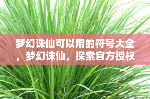 梦幻诛仙可以用的符号大全，梦幻诛仙，探索官方授权下的多元体验