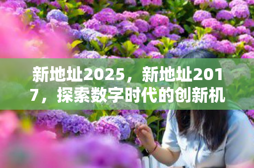新地址2025，新地址2017，探索数字时代的创新机遇