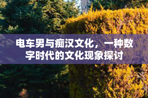 电车男与痴汉文化,一种数字时代的文化现象探讨 电车男与痴汉文化,一种数字时代的文化现象探讨