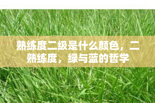 熟练度二级是什么颜色，二熟练度，绿与蓝的哲学