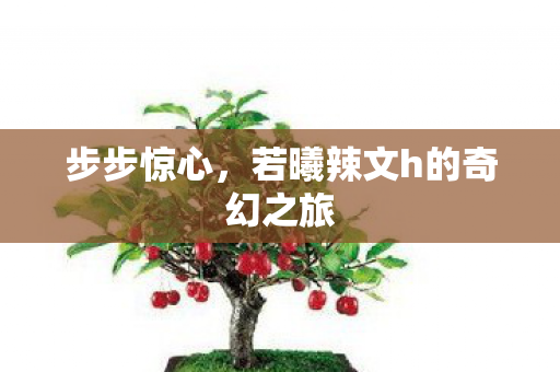 步步惊心，若曦辣文h的奇幻之旅
