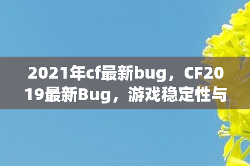 2021年cf最新bug,CF2019最新Bug,游戏稳定性与玩家体验的挑战 2021年cf最新bug,CF2019最新Bug,游戏稳定性与玩家体验的挑战