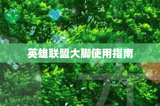 英雄联盟大脚使用指南