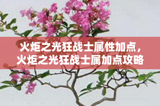 火炬之光狂战士属性加点,火炬之光狂战士属加点攻略,打造最强战斗狂 火炬之光狂战士属性加点,火炬之光狂战士属加点攻略,打造最强战斗狂