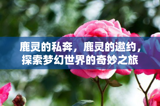 鹿灵的私奔，鹿灵的邀约，探索梦幻世界的奇妙之旅