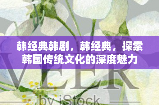 韩经典韩剧，韩经典，探索韩国传统文化的深度魅力